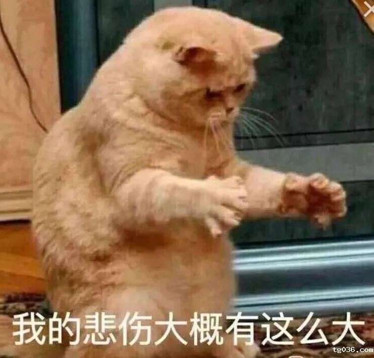 到底是谁发明了调休？IT人，根本没有五一长假......