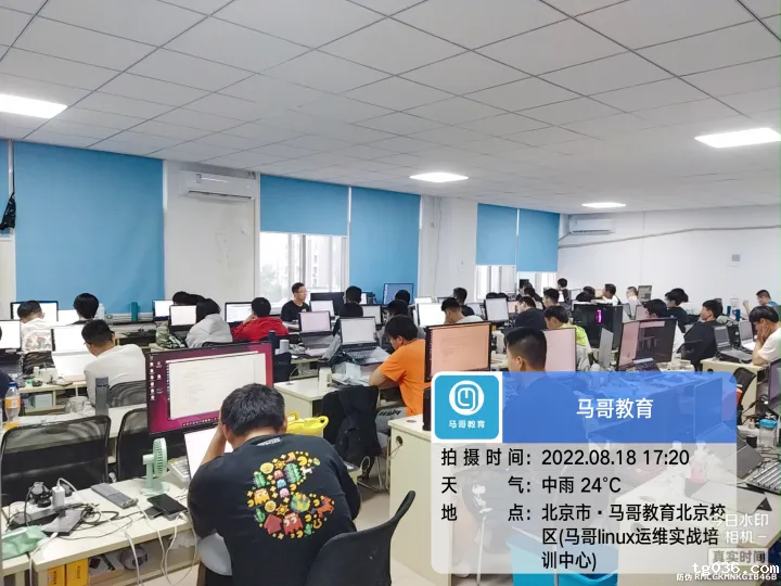 行业平均薪资出炉，IT行业又双叒叕排第一，看必威西汉姆联如何助你拿高薪！