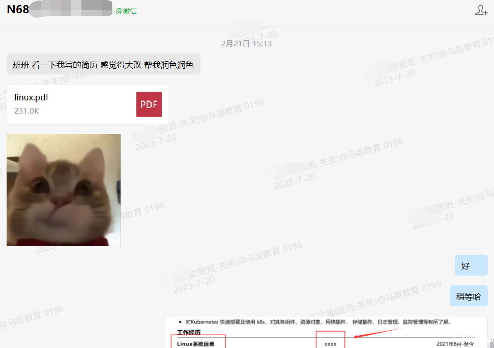 马哥学员| 从运营转技术之路